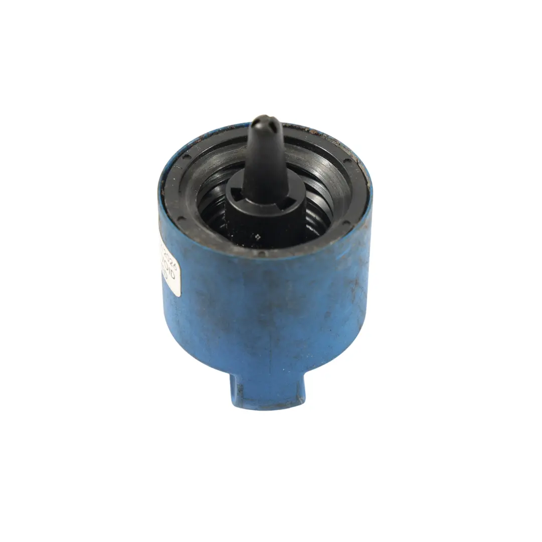Cache-Vis De Remplissage Du Réservoir Adblue Diesel pour Audi A5 F5 à propos du numéro de pièce 5Q0131980 Audi A5 F5 Cache-Vis De Remplissage Du Réservoir Adblue Diesel - SKU 5Q0131980 - Numéro de pièce 5Q0131980
