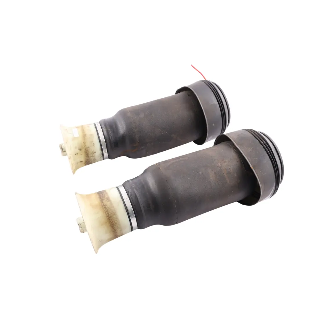 BMW X5 E70 Rear Air Strut Pneumatic Spring Suspension Sack Set X2 - SKU 6790079-2 - Part number 6790079