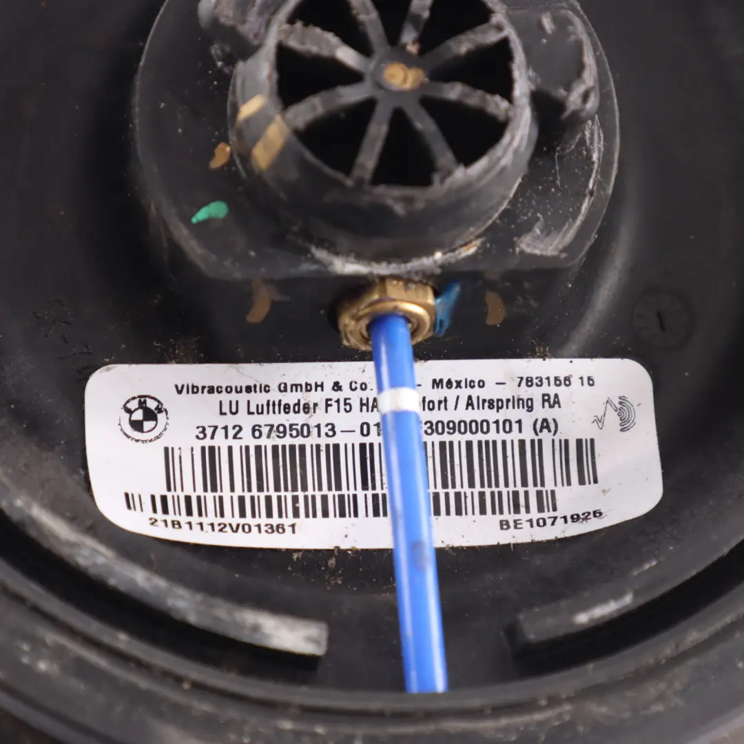 Poduszka Miech Zawieszenia Tył Tylna do BMW X5 F15 o numerze 6795013 BMW X5 F15 Poduszka Miech Zawieszenia Tył Tylna - SKU 6795013-1 - Numer Części 6795013