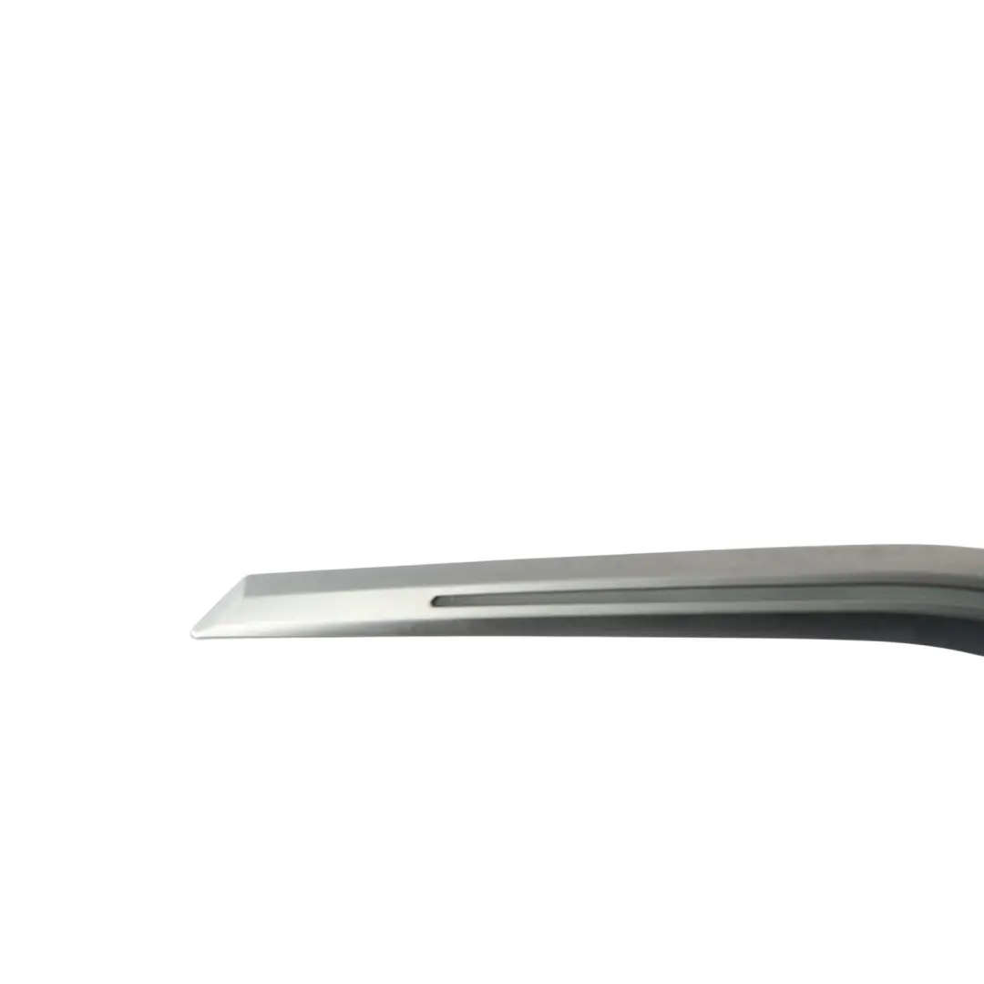 BMW 3 G20 G21 Front Door Optical Fiber Contour Panel Trim Right O/S - SKU 6999930 - Part number 6999930