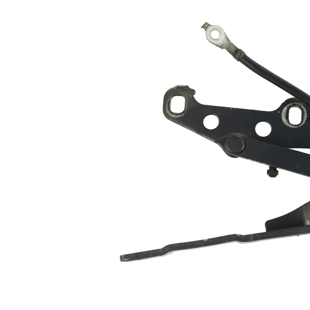 Cerniera Cofano Toledoblau Metallic 482 Sinistra per BMW Z4 E85 E85 con numero di parte 7016171 BMW Z4 E85 E85 Cerniera Cofano Toledoblau Metallic 482 Sinistra - SKU 7016171-TDB - Numero di parte 7016171