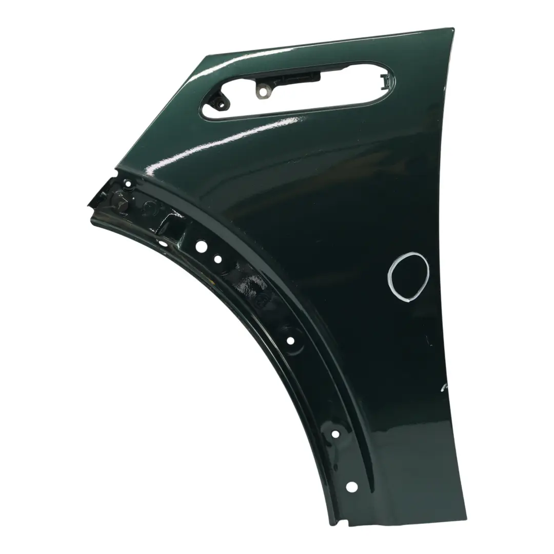 Guardabarros Delantero Izquierdo Lado British Racing Green 895 para Mini R50 R52 R53 con número de pieza 7037437 Mini R50 R52 R53 Guardabarros Delantero Izquierdo Lado British Racing Green 895 - SKU 7037437-BRG - Número de pieza 7037437