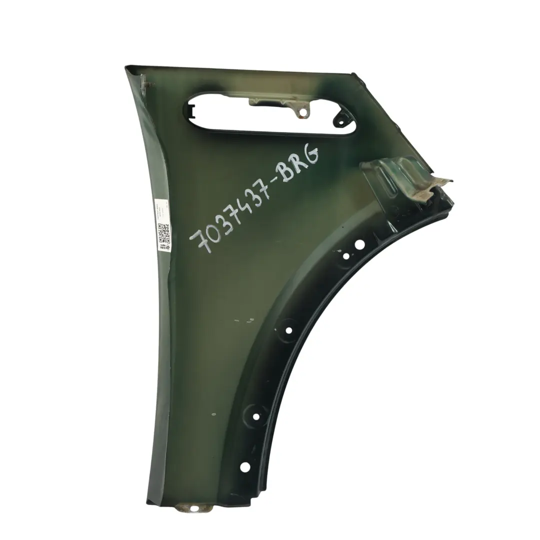 Parafango Anteriore Sinistro Laterale British Racing Green 895 per Mini R50 R52 R53 con numero di parte 7037437 Mini R50 R52 R53 Parafango Anteriore Sinistro Laterale British Racing Green 895 - SKU 7037437-BRG - Numero di parte 7037437