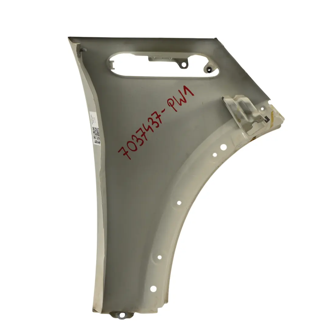 Pannello Laterale Anteriore Sinistro Parafango Pepper White - 850 per Mini R50 R53 con numero di parte 7037437 Mini R50 R53 Pannello Laterale Anteriore Sinistro Parafango Pepper White - 850 - SKU 7037437-PW1 - Numero di parte 7037437