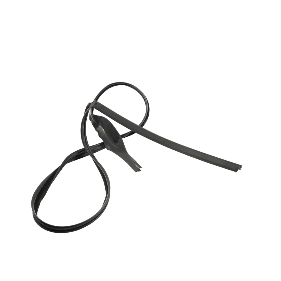 Puerta Trasera Junta De Goma De Sellado Izquierda para BMW F01 F02 F03 con número de pieza 7179123 BMW F01 F02 F03 Puerta Trasera Junta De Goma De Sellado Izquierda - SKU 7179123 - Número de pieza 7179123