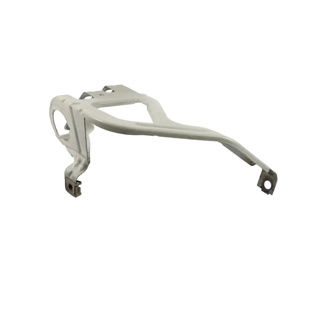 BMW F10 F11 Front Tafel Kotflügel Halterung Links Alpinweiss 3 - 300 - SKU 7207209-AW - Teilenummer 7207209