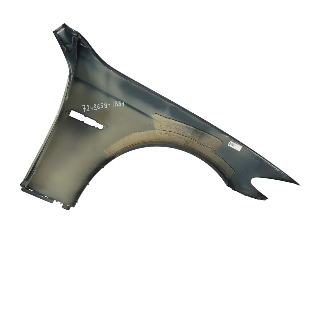 BMW F10 Pannello Alare Anteriore Sinistro Lato Parafango Imperial Blue - A89 - SKU 7248659-IBB1 - Numero di parte 7248659