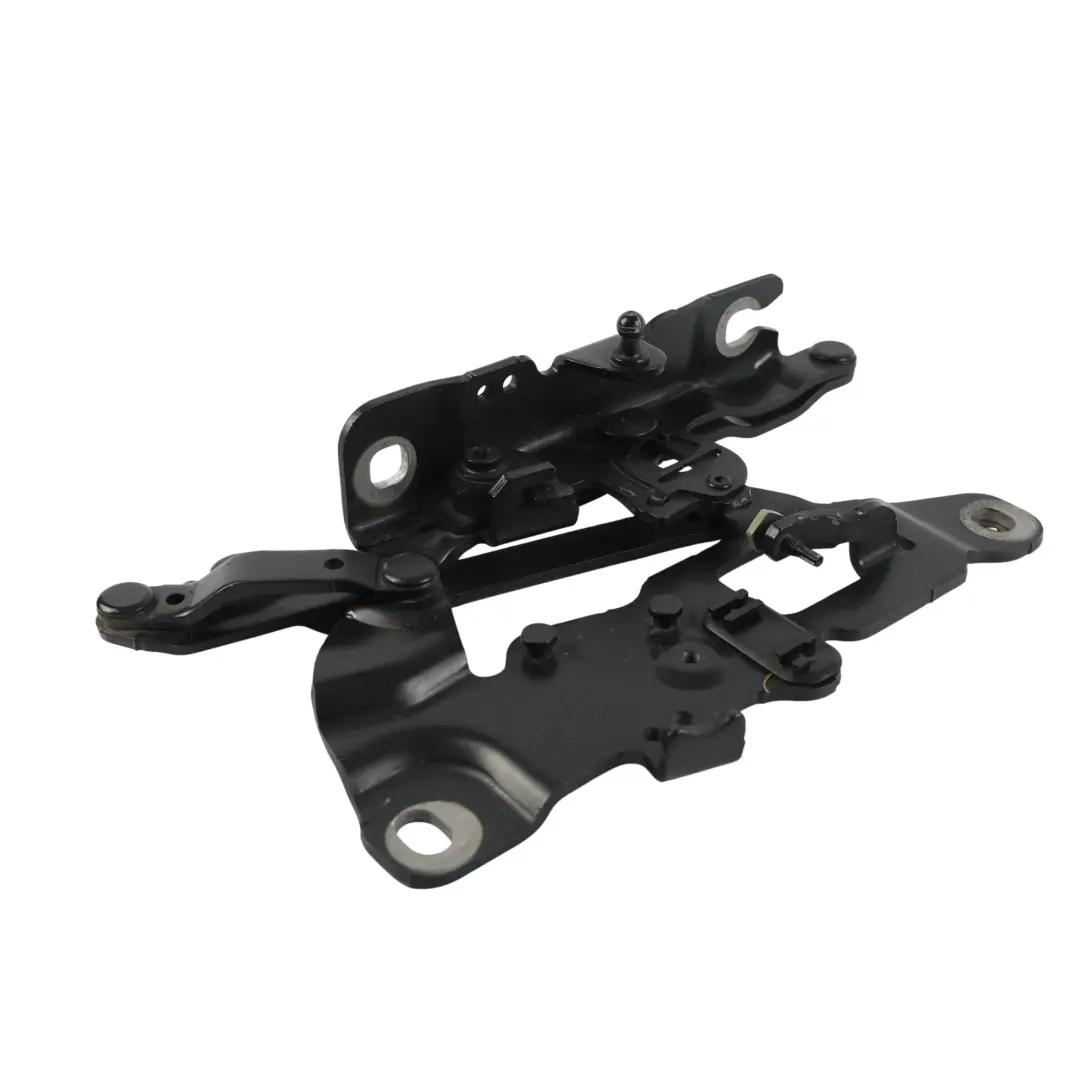 BMW F10 F11 F12 Cerniera Cofano Motore Sinistra Nero Rubino - SKU 7249887-RUB - Numero di parte 7249887