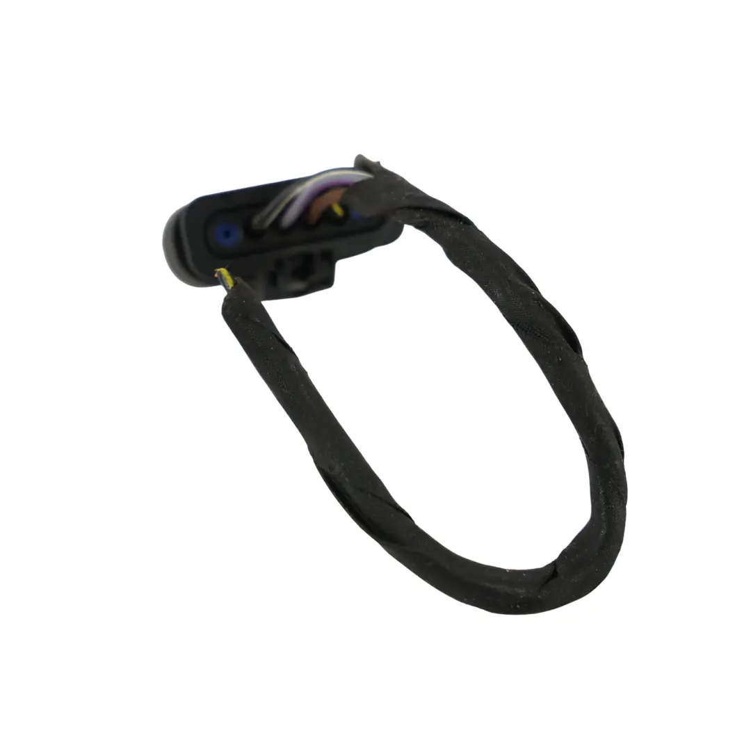 Lámpara Luz En El Panel Lateral Cableado Trasero Izquierdo para BMW F34 GT con número de pieza 7286037 BMW F34 GT Lámpara Luz En El Panel Lateral Cableado Trasero Izquierdo - SKU 7286037-1 - Número de pieza 7286037