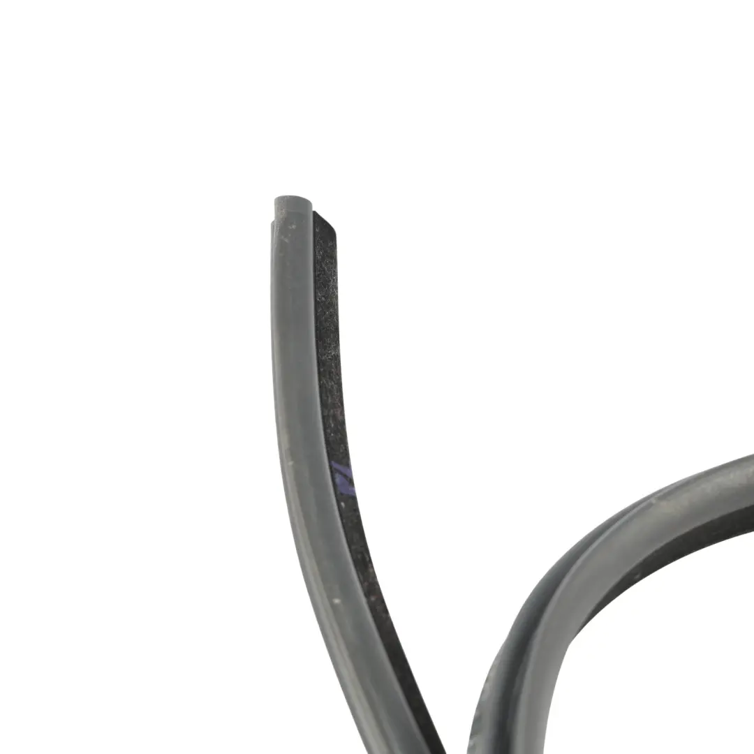 BMW F12 F12 LCI Door Weatherstrip Seal Gasket Rubber Front Right O/S - SKU 7301294 - Part number 7301294
