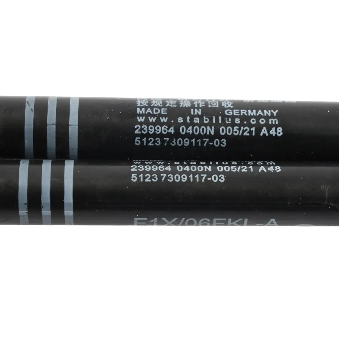 BMW F10 F11 Active Cofano Sollevatore Gas Montante Sinistro Destro SET - SKU 7309117-1 - Numero di parte 7309117