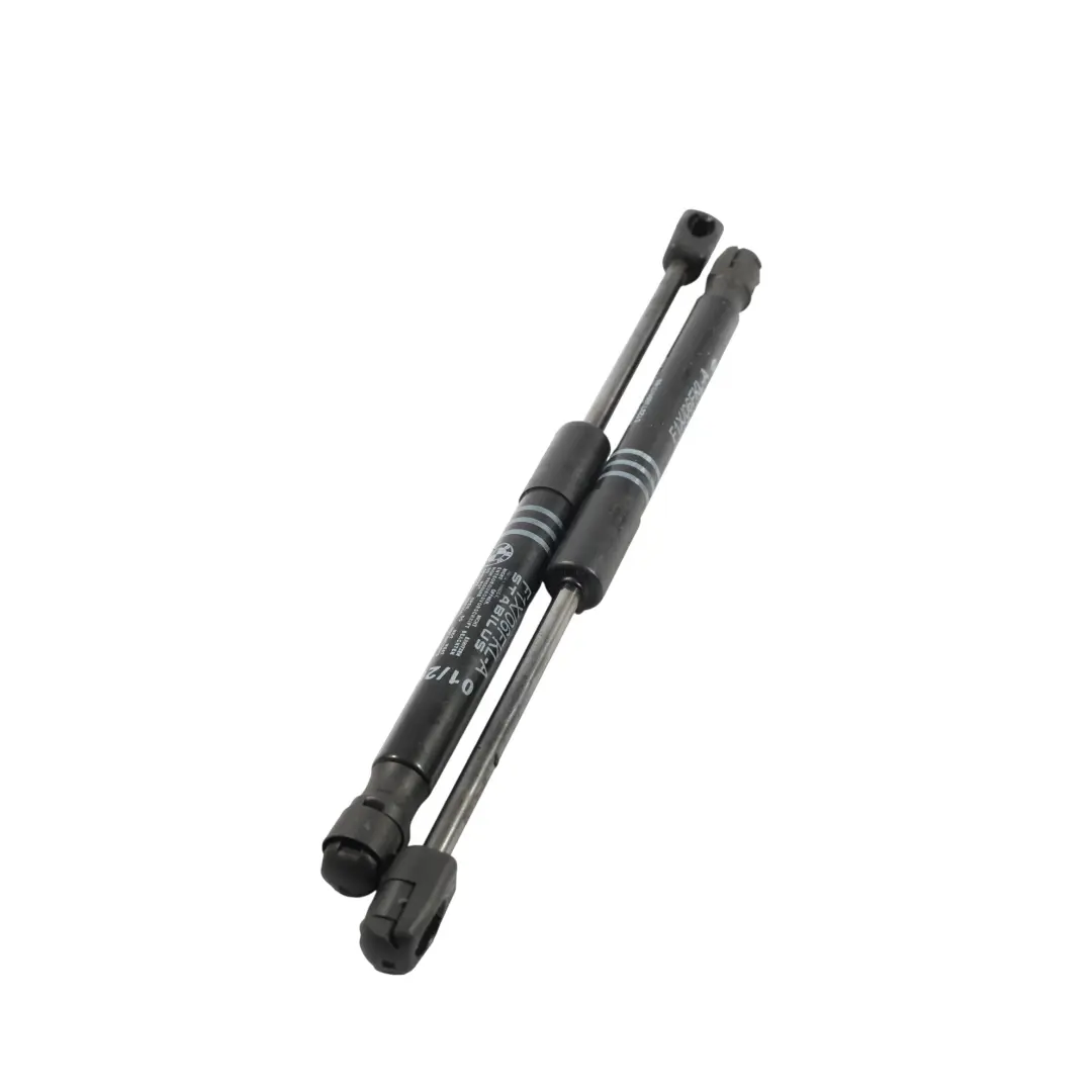 BMW F10 F11 Active Cofano Sollevatore Gas Montante Sinistro Destro SET - SKU 7309117-1 - Numero di parte 7309117