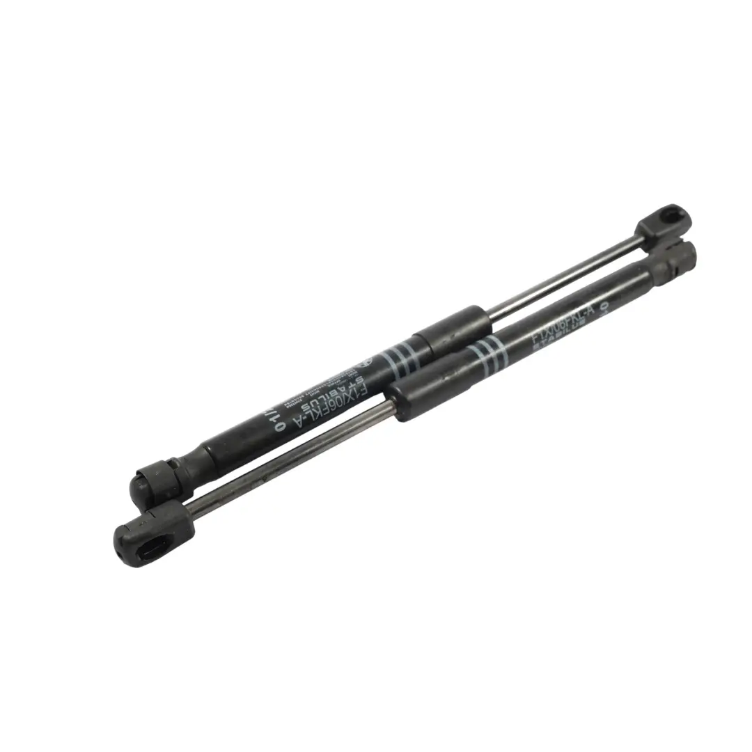 Capó Gas Lifter Strut Izquierda Derecha SET para BMW F10 F11 Active con número de pieza 7309117 BMW F10 F11 Active Capó Gas Lifter Strut Izquierda Derecha SET - SKU 7309117-1 - Número de pieza 7309117