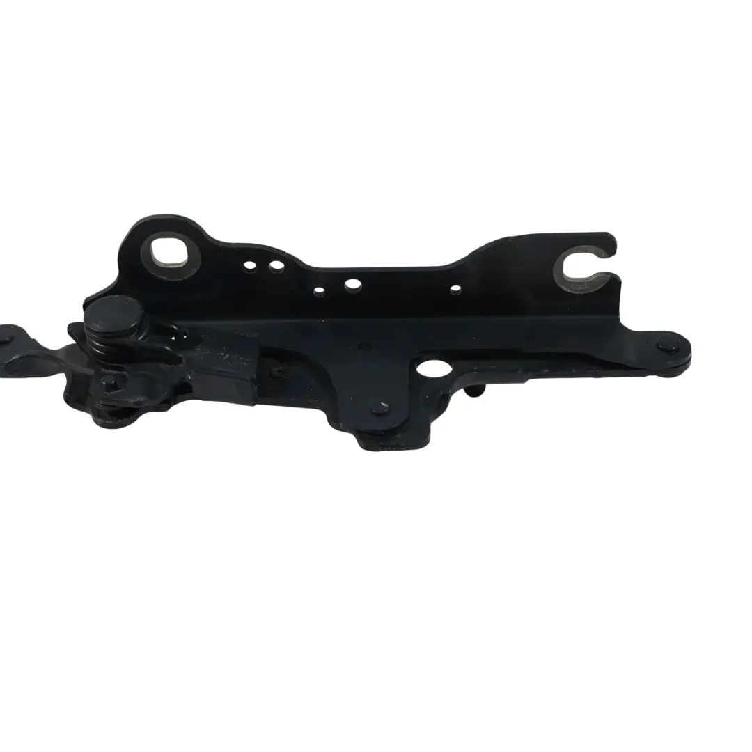 Cerniera Cofano Laterale Anteriore Sinistra Blu Mediterraneo - C10 per BMW F39 F48 con numero di parte 7427125 BMW F39 F48 Cerniera Cofano Laterale Anteriore Sinistra Blu Mediterraneo - C10 - SKU 7427125-MED - Numero di parte 7427125