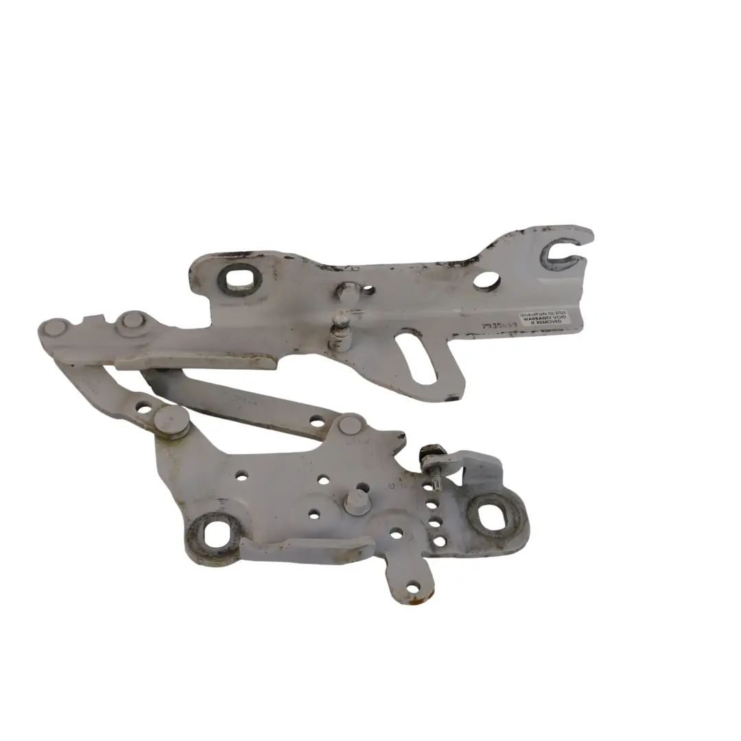 BMW F20 F21 F30 Capó Delantero Bisagra Izquierda Alpinweiss 3 - 300 - SKU 7336699-AW - Número de pieza 7336699