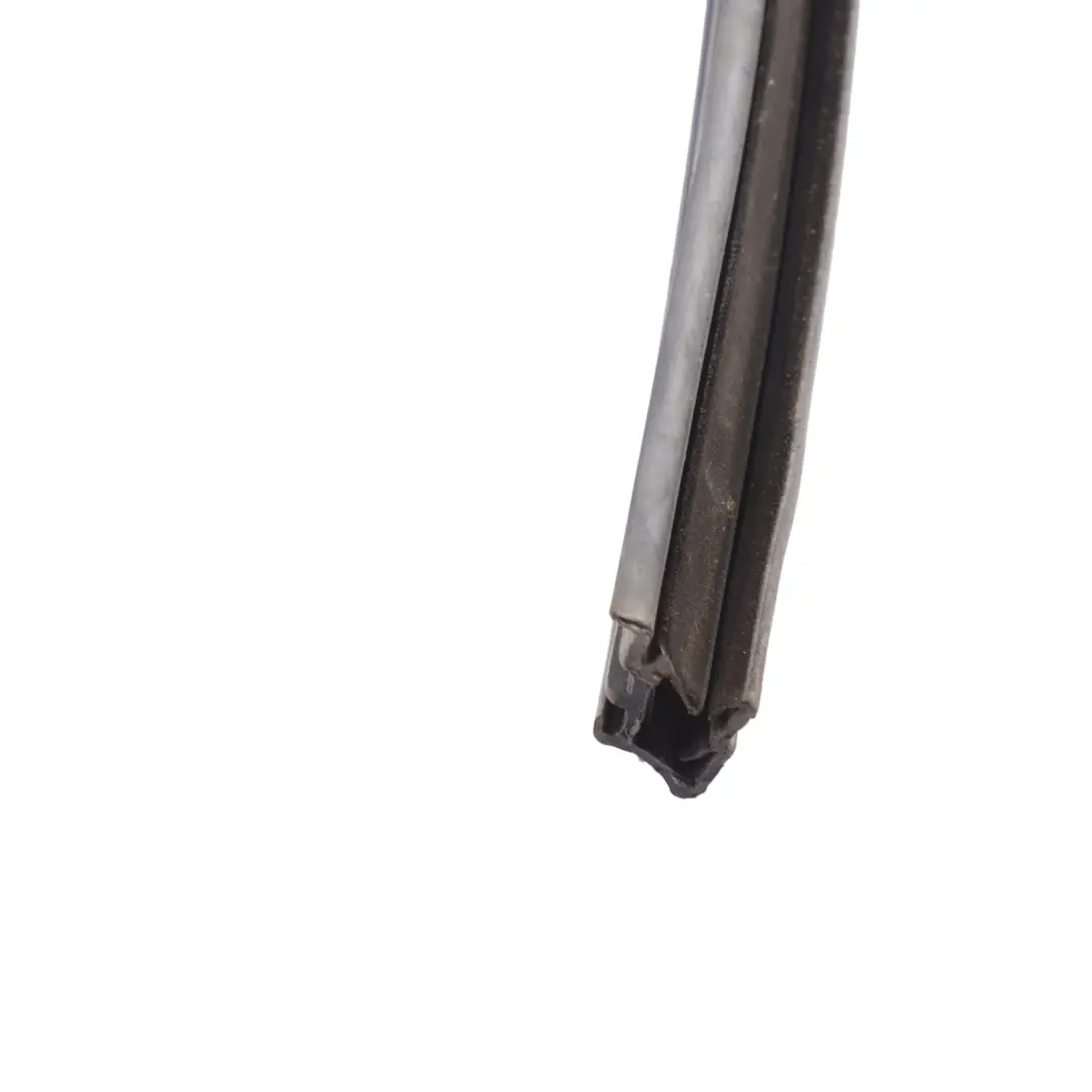 BMW X3 G01 Front Door Window Seal Surround Strip Gasket Right O/S - SKU 7388838 - Part number 7388838