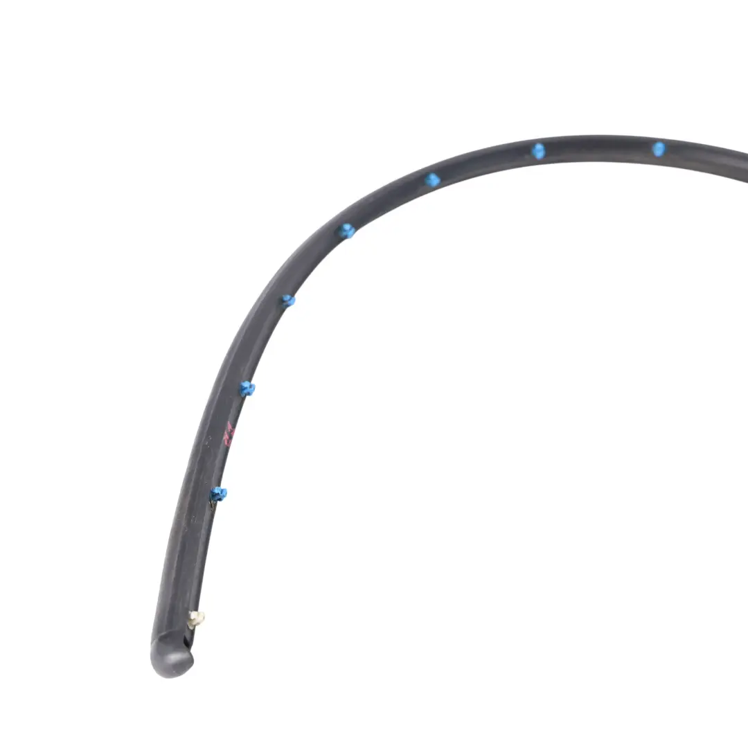 Puerta Delantera Entrace Junta De Goma Derecha para BMW F48 F48 LCI con número de pieza 7439318 BMW F48 F48 LCI Puerta Delantera Entrace Junta De Goma Derecha - SKU 7439318 - Número de pieza 7439318