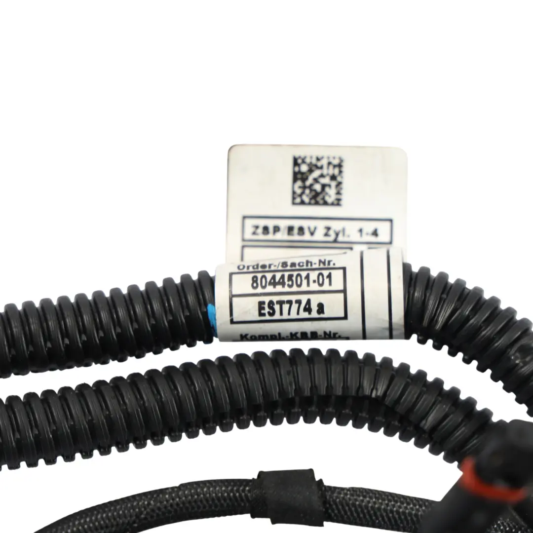 BMW F06 F10 F12 F13 LCI Fuel Injectors Wiring Loom Harness Cyl 1-4 S63N - SKU 8044501 - Part number 8044501