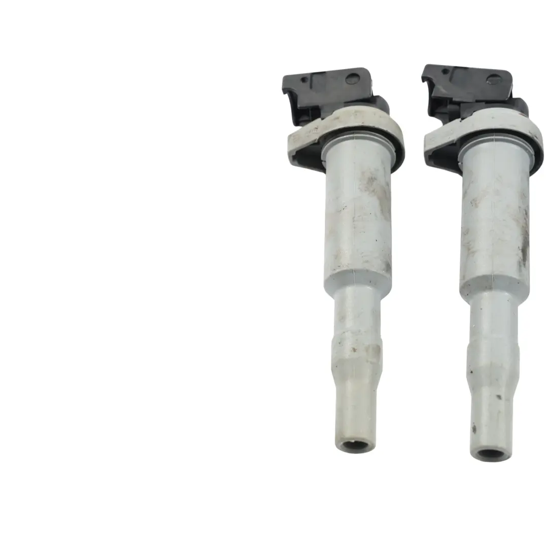 BMW E53 E60 E87 E90 E91 F10 F20 F30 Motore Benzina Bobina Accensione 0221504800 - SKU 8616153-8 - Numero di parte 8616153
