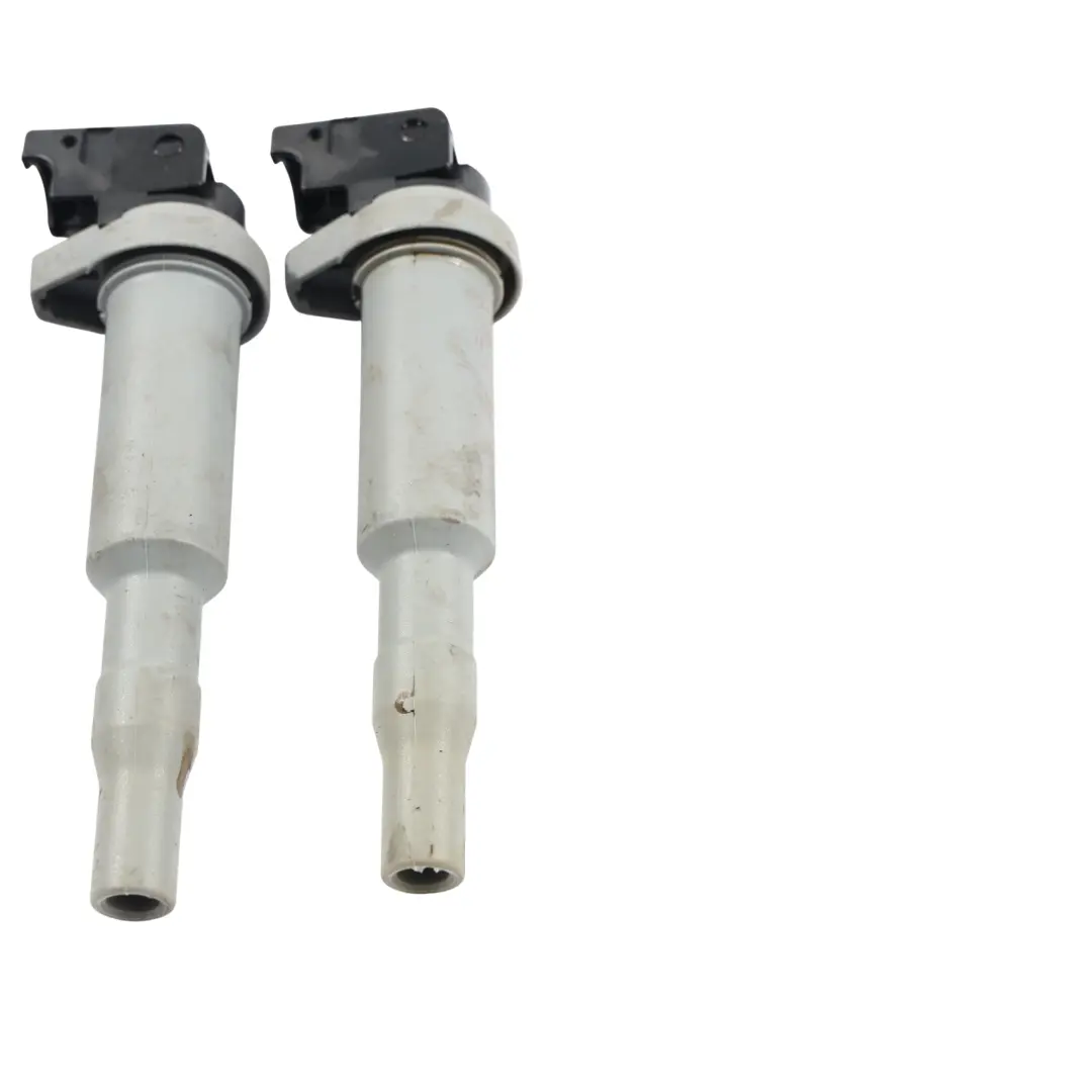 BMW E53 E60 E87 E90 E91 F10 F20 F30 Motore Benzina Bobina Accensione 0221504800 - SKU 8616153-8 - Numero di parte 8616153