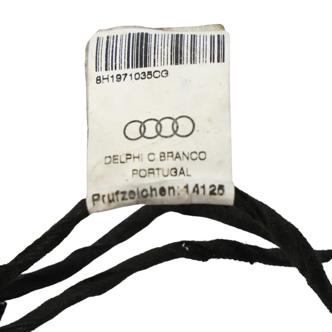Audi A4 S Line Cablaggio Cavo Cablaggio Lato Anteriore Conducente - SKU 8H1971035CG - Numero di parte 8H1971035CG