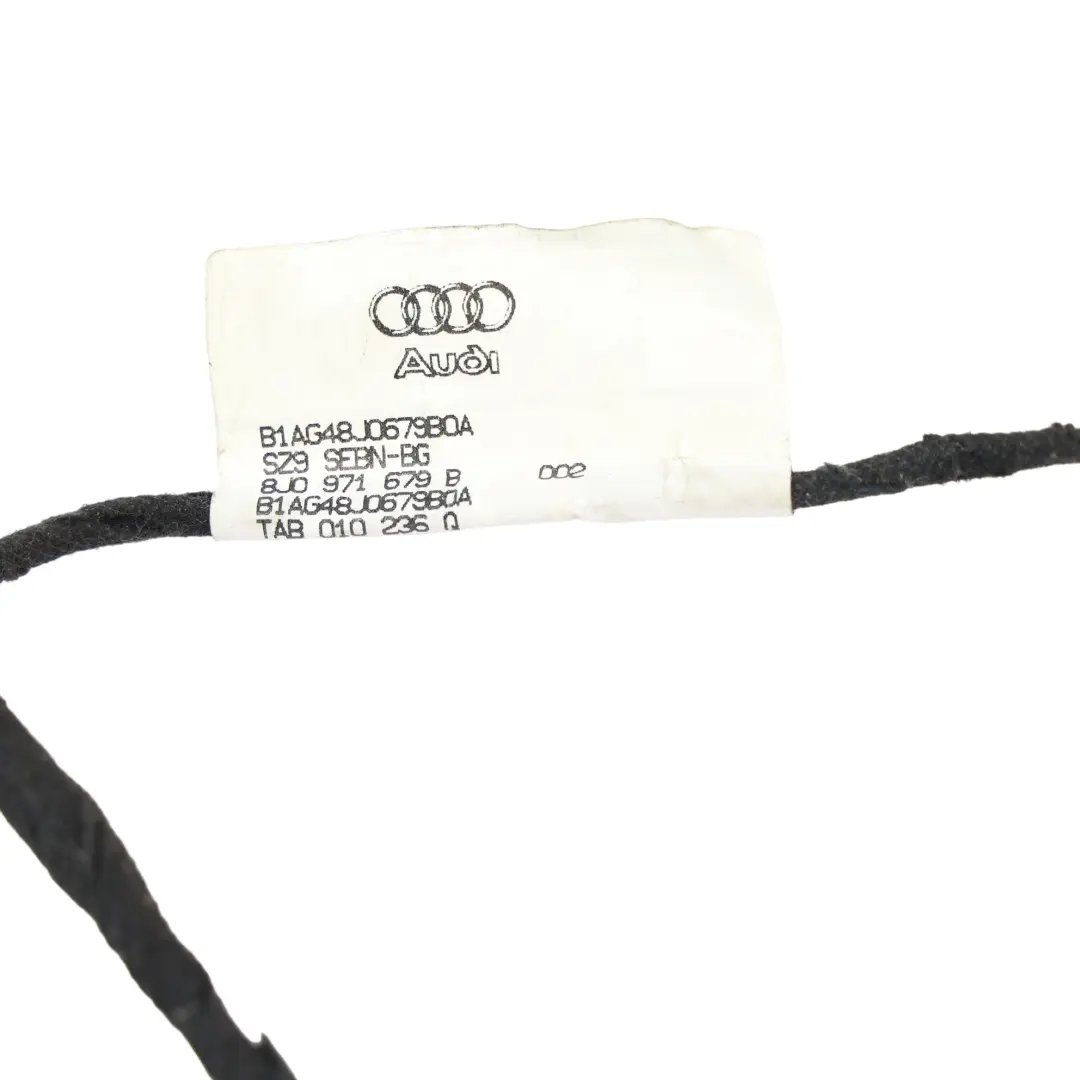 Faisceau Câbles Rangement Boîte Gants Tableau Bord pour Audi TT 8J TTS à propos du numéro de pièce 8J0971679B Audi TT 8J TTS Faisceau Câbles Rangement Boîte Gants Tableau Bord - SKU 8J0971679B - Numéro de pièce 8J0971679B