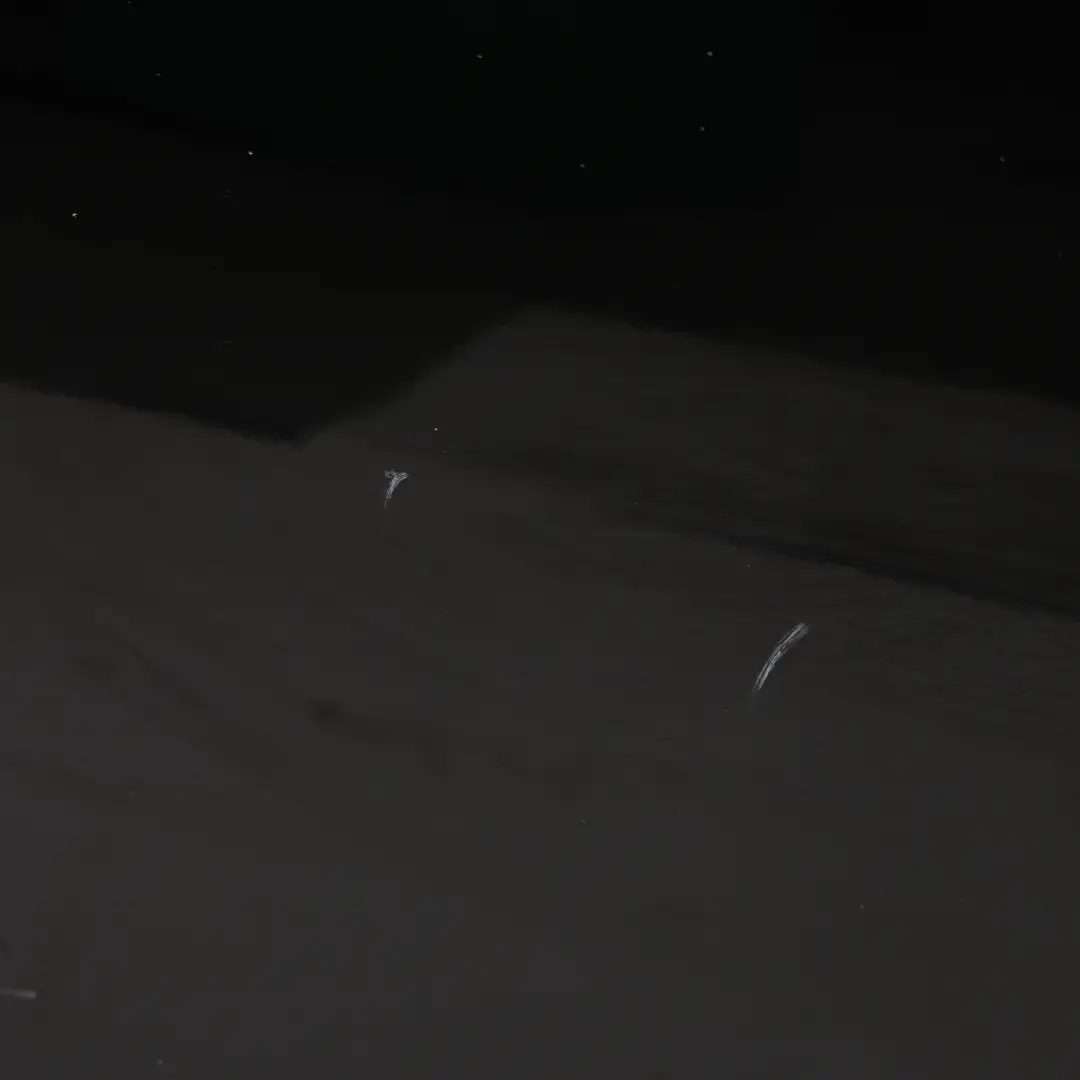 Audi A4 B8 Porte Avant Droite Brilliant Black Metallic Noir - LY9B - SKU 8K0831052J-PHB1 - Numéro de pièce 8K0831052J