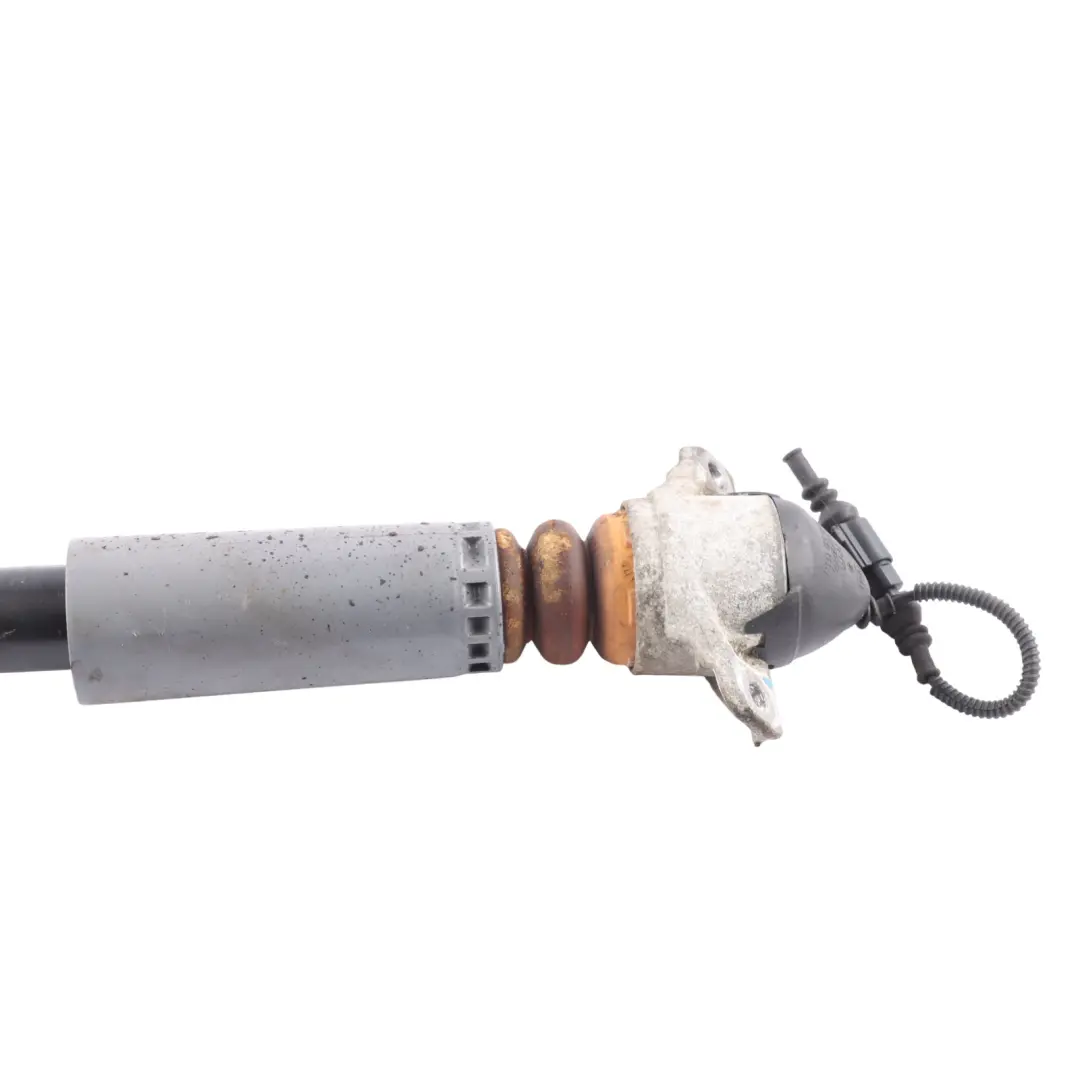 8S Rear Shock Absorber Damper Strut Right O/S to Audi TTS with Part number 8S0513022C Audi TTS 8S Rear Shock Absorber Damper Strut Right O/S - SKU 8S0513022C - Part number 8S0513022C