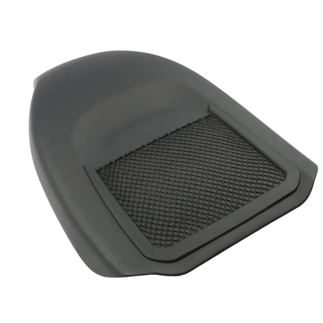 Audi S5 F5 Coupe Sport Sitz Hinten Rückenlehne Mit Netz Links Rechts - SKU 8S0881969L - Teilenummer 8S0881969L