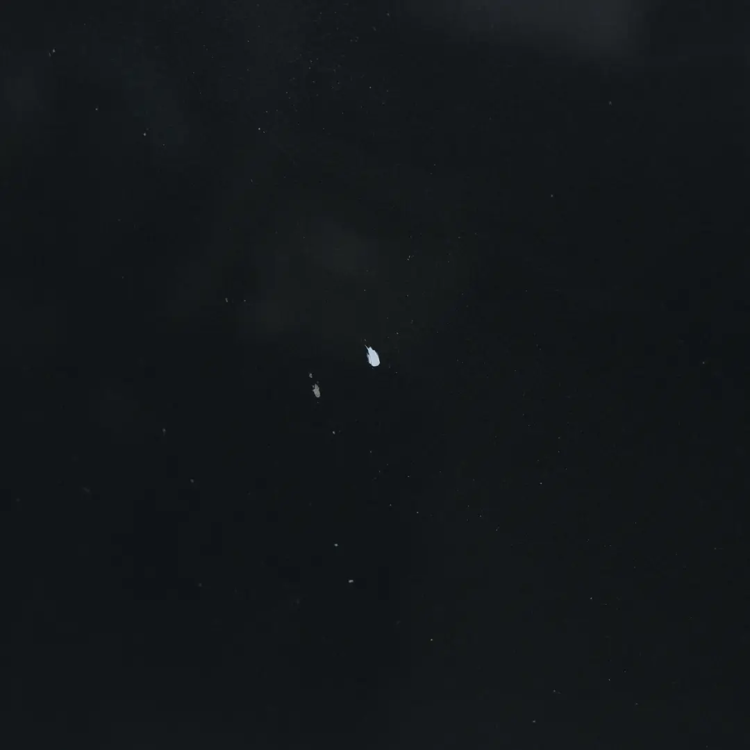 Maska Pokrywa Silnika Daytona Grey Szary Perłowy - Z7S do Audi A5 8T o numerze 8T0823029H Audi A5 8T Maska Pokrywa Silnika Daytona Grey Szary Perłowy - Z7S - SKU 8T0823029H-DGR - Numer Części 8T0823029H