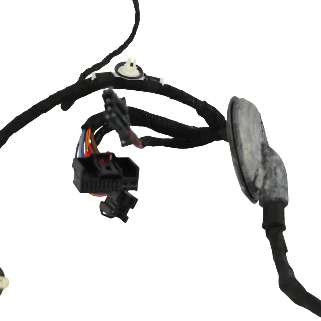 Audi A5 S5 8T Coupe Arnés Cableado Puerta Delantera Izquierda - SKU 8T0971029AE - Número de pieza 8T0971029AE