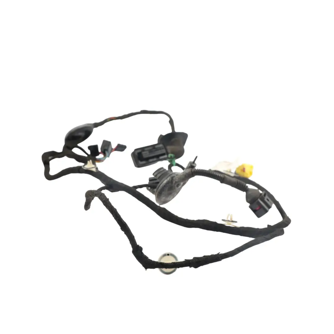 Audi A5 8T Coupe Arnés Puerta Delantera Conductor - SKU 8T0971029C - Número de pieza 8T0971029C