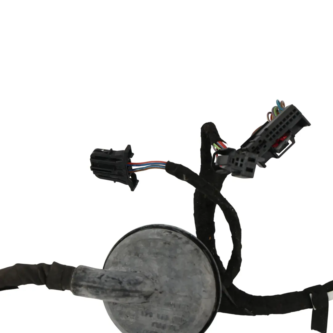 Door Wiring Harness Loom Driver's Side to Audi A5 S5 8T Coupe with Part number 8T2971029A Audi A5 S5 8T Coupe Door Wiring Harness Loom Driver's Side - SKU RHD-8T2971029A - Part number 8T2971029A