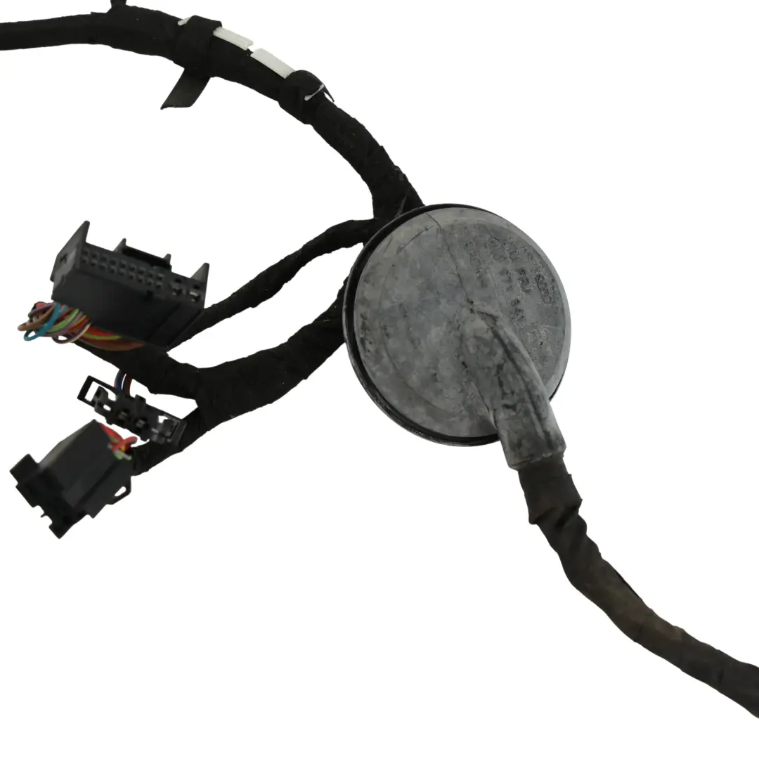 Audi A5 S5 8T Coupe Door Wiring Harness Loom Driver's Side - SKU RHD-8T2971029A - Part number 8T2971029A