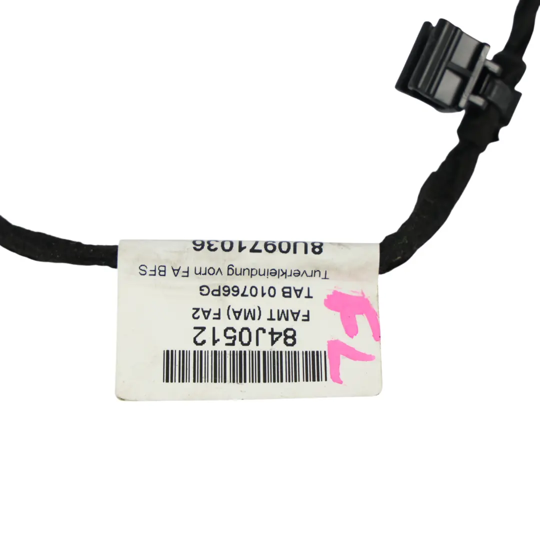 Audi Q3 8U Faisceau De Câblage De Porte Côté Passager Avant Gauche - SKU 8U0971036 - Numéro de pièce 8U0971036