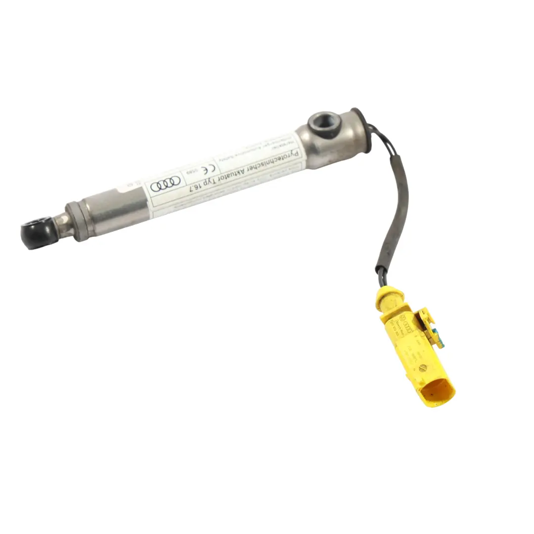 Attuatore Cerniera Cofano Anteriore Sinistro Destro per Audi A3 8V con numero di parte 8V0823823F Audi A3 8V Attuatore Cerniera Cofano Anteriore Sinistro Destro - SKU 8V0823823F-1 - Numero di parte 8V0823823F