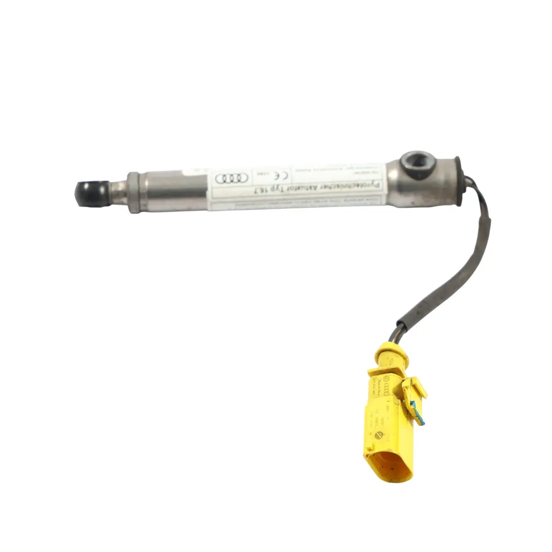 Audi A3 8V Capó Bisagra Actuador Delantero Izquierdo Derecho - SKU 8V0823823F-1 - Número de pieza 8V0823823F