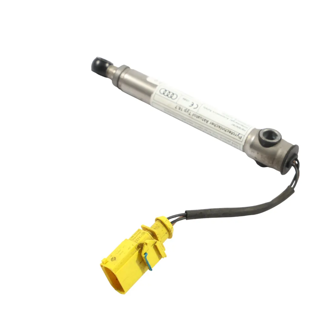 Audi A3 8V Hood Bonnet Hinge Actuator Front Left Right N/O/S - SKU 8V0823823F-1 - Part number 8V0823823F