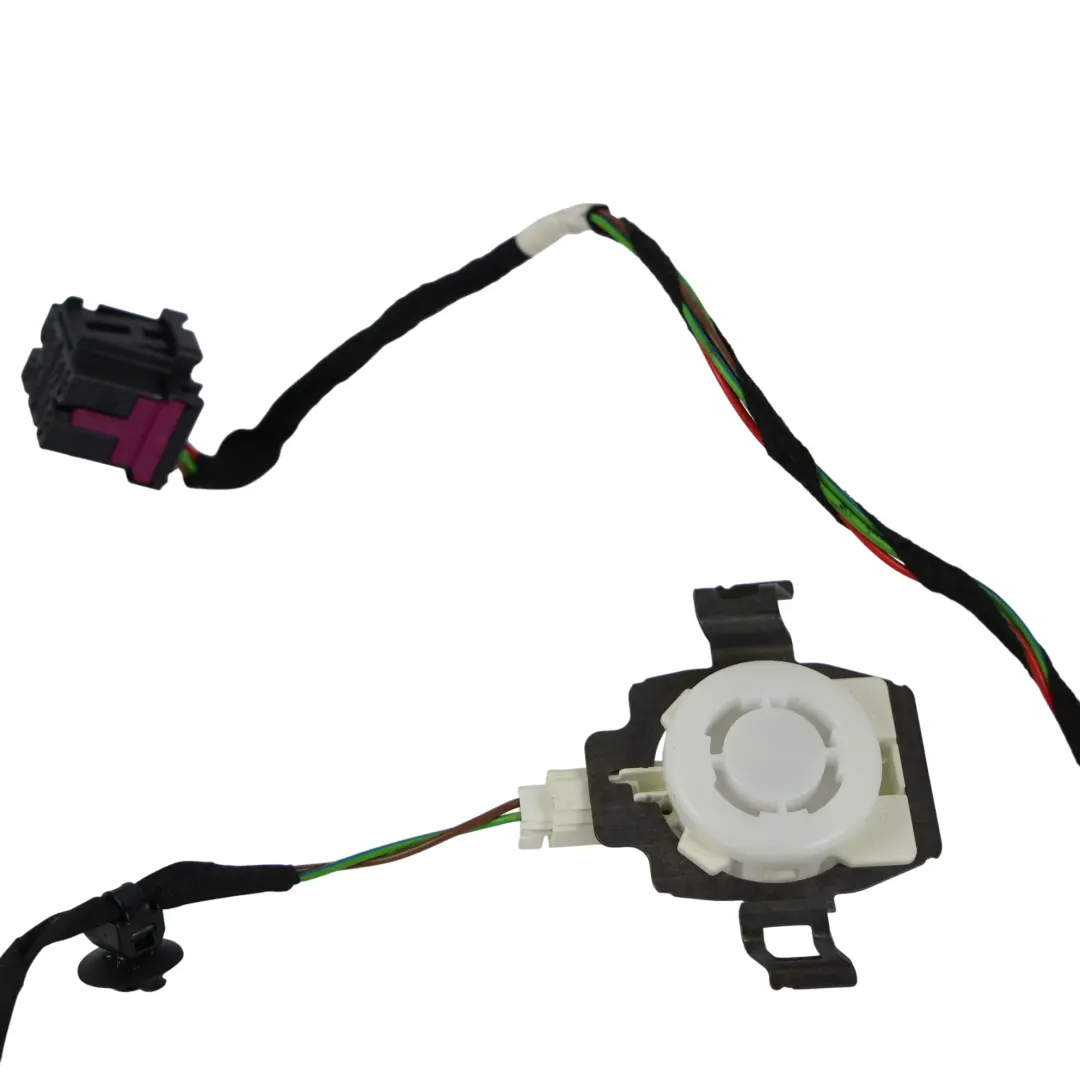 Cavo Cablaggio Avviso Cintura Sicurezza Anteriore Sinistro per Audi A5 F5 con numero di parte 8W0971365G Audi A5 F5 Cavo Cablaggio Avviso Cintura Sicurezza Anteriore Sinistro - SKU 8W0971365G - Numero di parte 8W0971365G