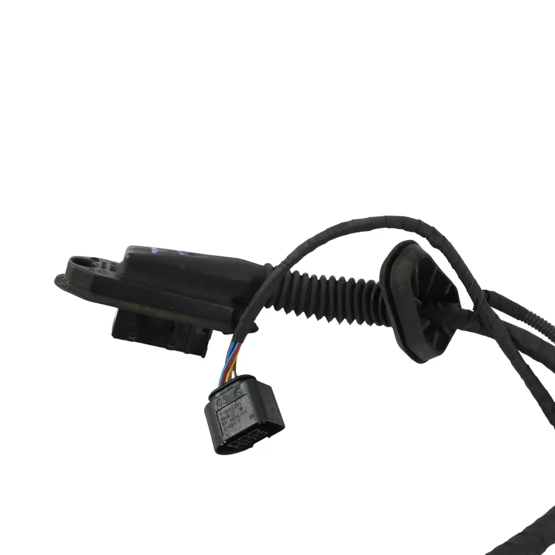 Set Cavi Cablaggio Porta Lato Guidatore per BMW E60 E61 LCI con numero di parte 9120777 BMW E60 E61 LCI Set Cavi Cablaggio Porta Lato Guidatore - SKU 9120777 - Numero di parte 9120777