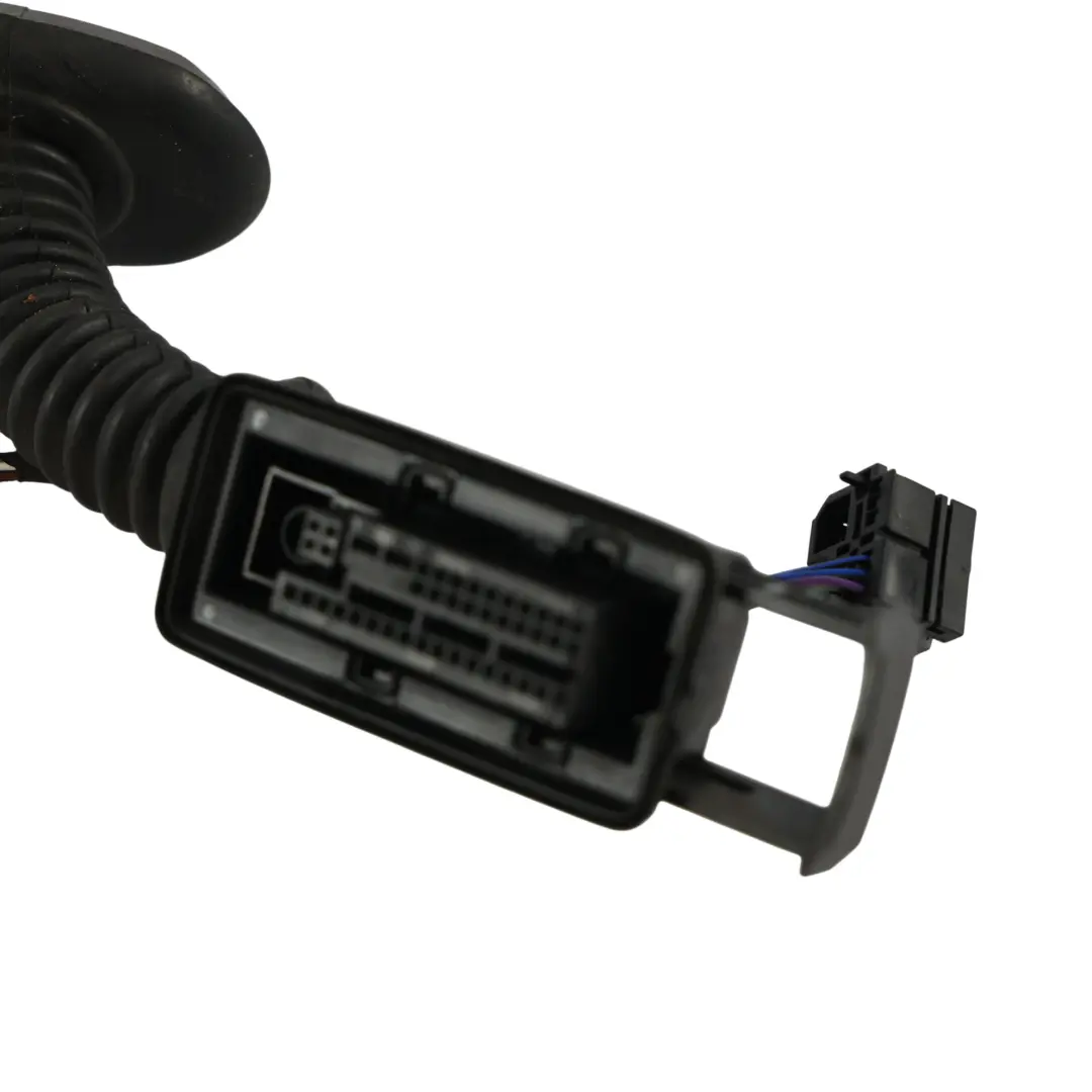 Puerta Mazo Cables Cable Loom Delantero Lado Pasajero para BMW F36 Gran Coupe con número de pieza 9325908 BMW F36 Gran Coupe Puerta Mazo Cables Cable Loom Delantero Lado Pasajero - SKU 9325908 - Número de pieza 9325908