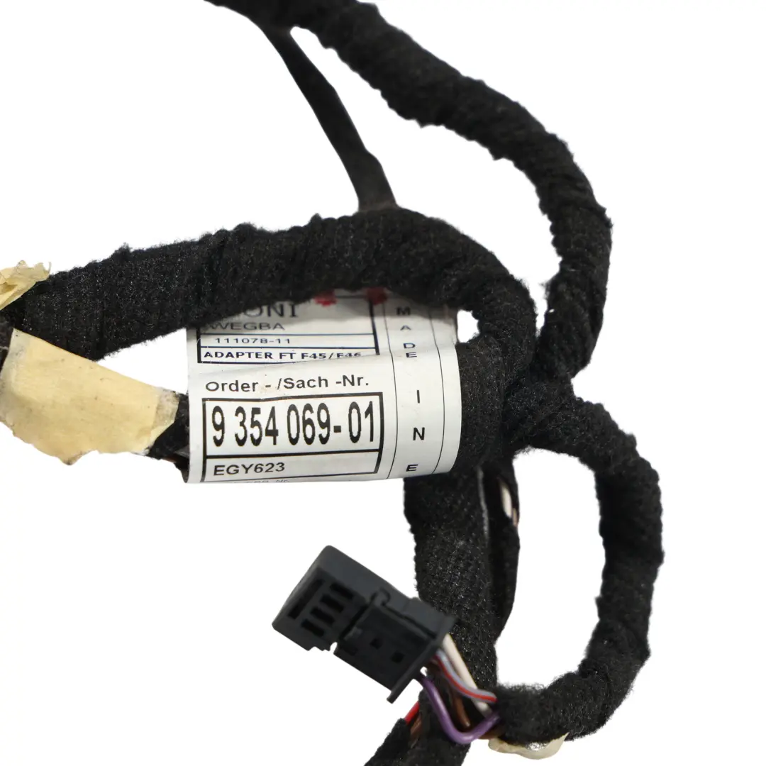 Cavo Cablaggio Illuminazione Porta Anteriore Sinistra per BMW F45 F46 con numero di parte 9354069 BMW F45 F46 Cavo Cablaggio Illuminazione Porta Anteriore Sinistra - SKU 9354069 - Numero di parte 9354069