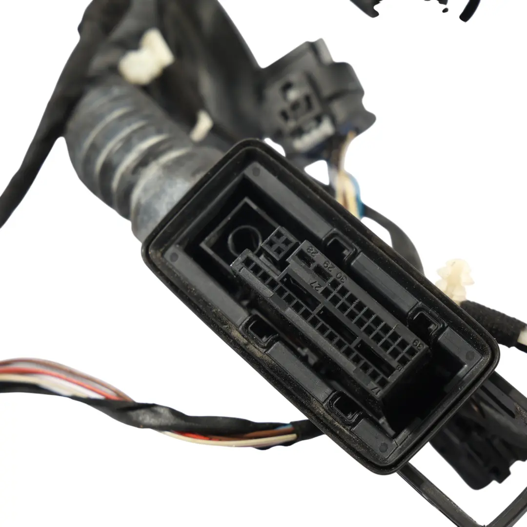 Puerta Delantera Cableado Mazo Cables Lado Conductor para BMW X5 F15 con número de pieza 9365802 BMW X5 F15 Puerta Delantera Cableado Mazo Cables Lado Conductor - SKU 9365802 - Número de pieza 9365802