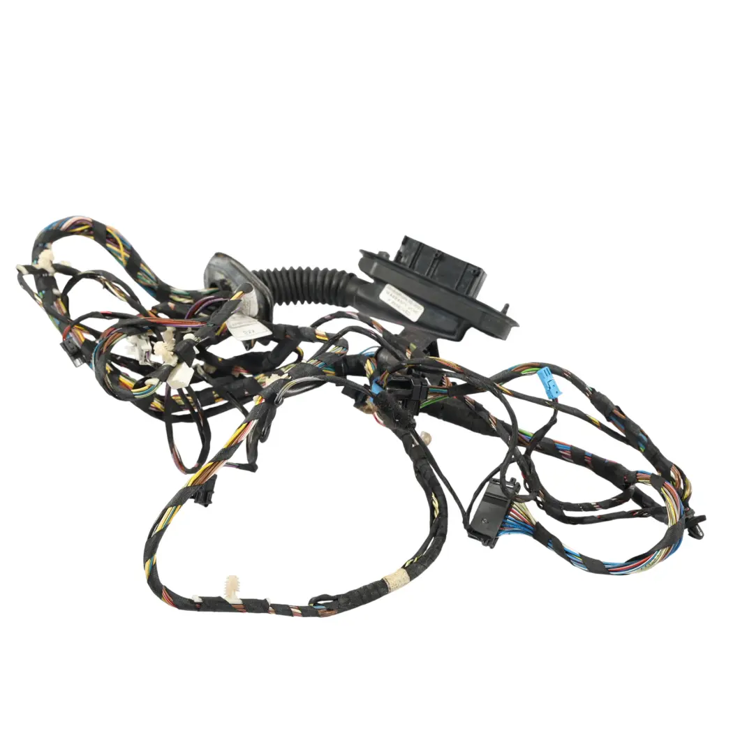BMW X3 F25 X4 F26 Door Wiring Loom Harness Cable Driver's Side 9379820 - SKU 9379832 - Part number 9379832