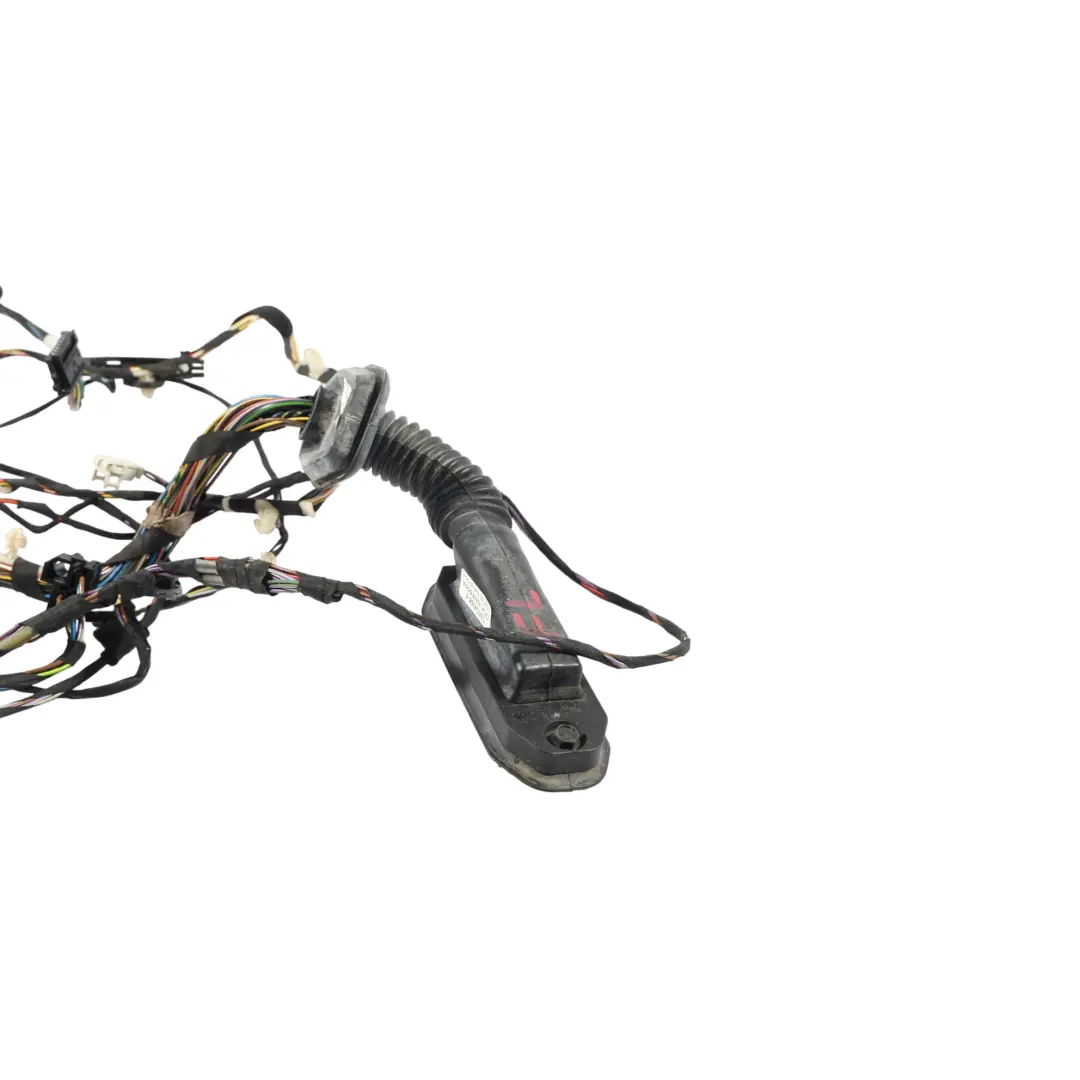 BMW X3 F25 X4 F26 Cableado De La Puerta Del Lado Del Pasajero 9379834 - SKU 9379845 - Número de pieza 9379845
