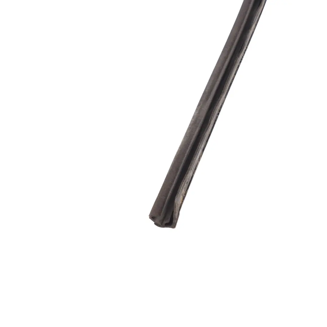 Porsche Cayenne 9PA Front Window Guide Channel Gasket Right O/S - SKU 95553143202 - Part number 95553143202