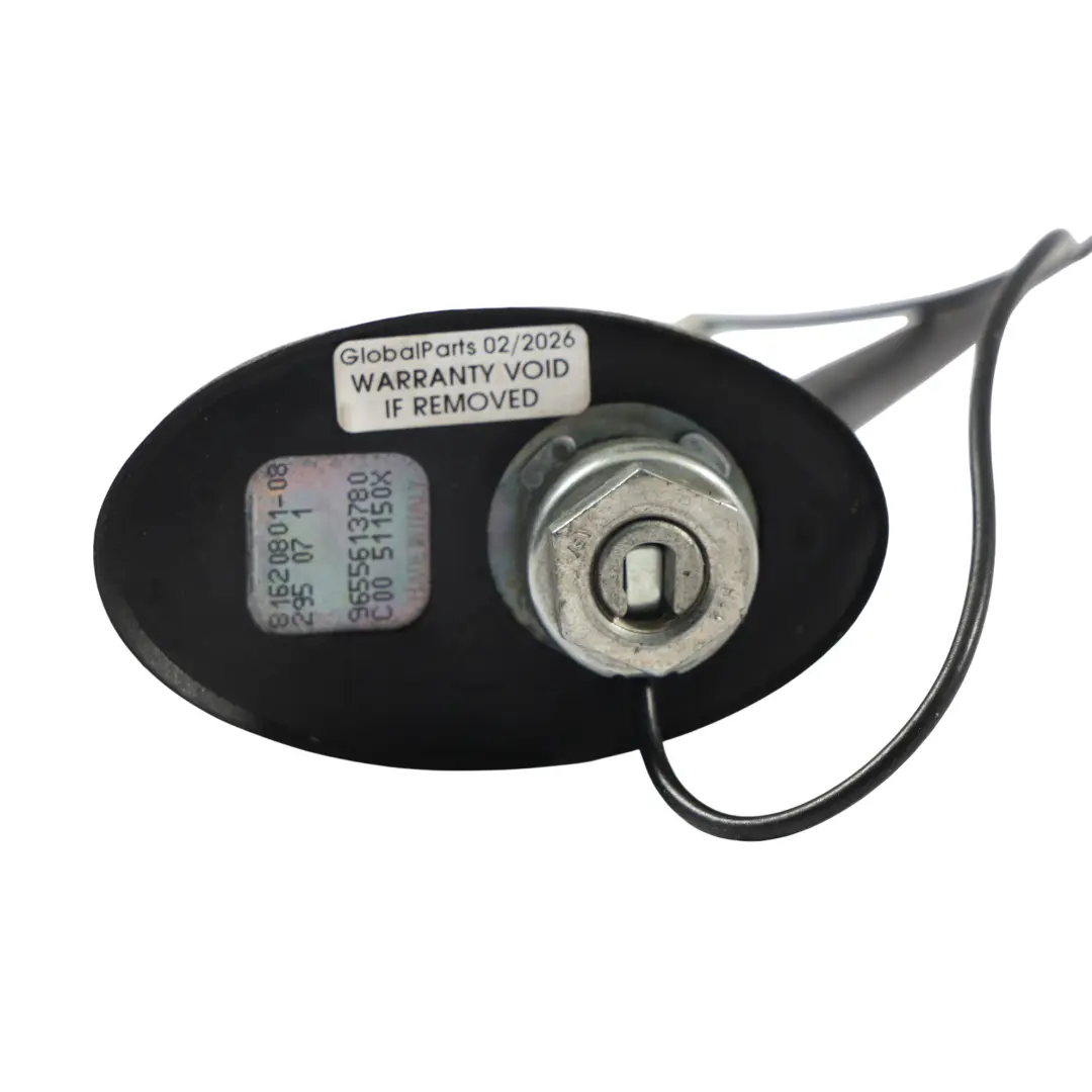 Antena De Radio De Techo para Peugeot 308 T7 con número de pieza 9655613780 Peugeot 308 T7 Antena De Radio De Techo - SKU 9655613780 - Número de pieza 9655613780