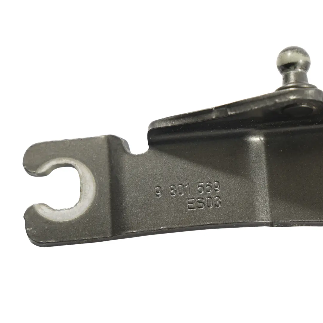 Mini Countryman R60 Charnière Capot Gauche Gris Royal Métallisé - A48 - SKU 9801569-ROG - Numéro de pièce 9801569