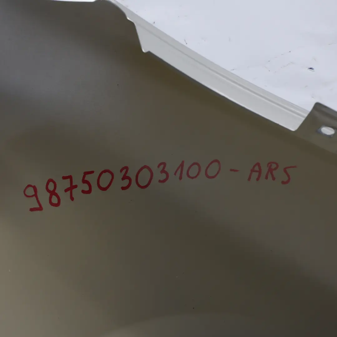 Guardabarros Lateral Delantero Izquierdo Arctic Silver - 92T para Porsche Cayman 987 con número de pieza 98750303100 Porsche Cayman 987 Guardabarros Lateral Delantero Izquierdo Arctic Silver - 92T - SKU 98750303100-ARS - Número de pieza 98750303100