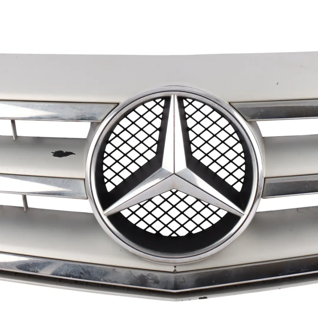 Mercedes W245 Front Hood Bonnet Radiator Grille Beam Trim Panel Silver Chrome - SKU A1698802183-1 - Part number A1698802183